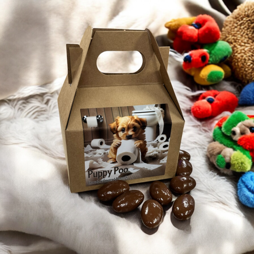 Puppy Poo Box with Almonds on blanket with doggy toys